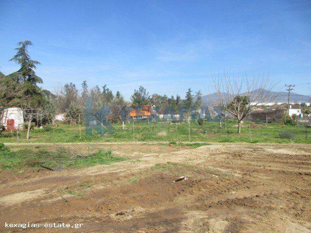 ΕΞΩΤΕΡΙΚΗ ΛΗΨΗ