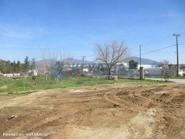 ΕΞΩΤΕΡΙΚΗ ΛΗΨΗ