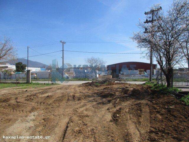 ΕΞΩΤΕΡΙΚΗ ΛΗΨΗ