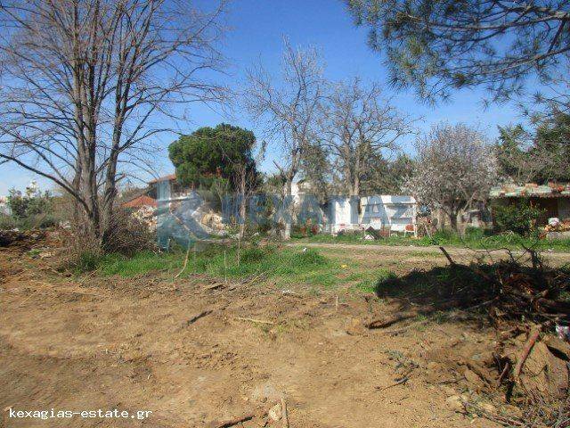 ΕΞΩΤΕΡΙΚΗ ΛΗΨΗ