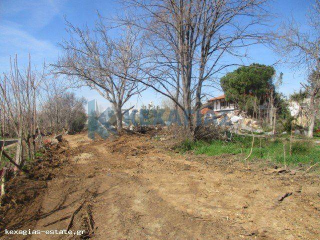 ΕΞΩΤΕΡΙΚΗ ΛΗΨΗ