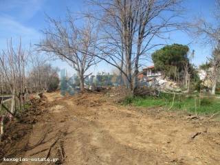 ΕΞΩΤΕΡΙΚΗ ΛΗΨΗ