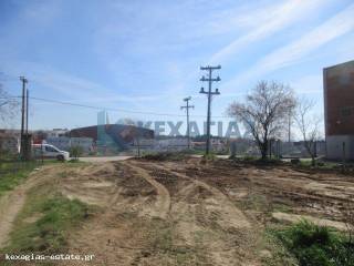 ΕΞΩΤΕΡΙΚΗ ΛΗΨΗ