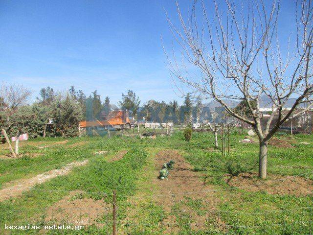 ΕΞΩΤΕΡΙΚΗ ΛΗΨΗ