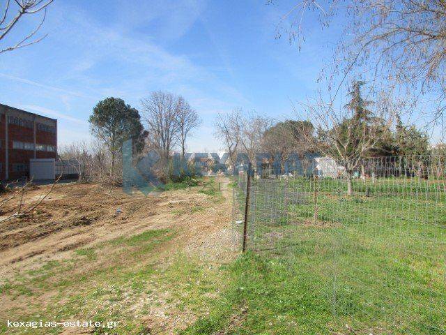 ΕΞΩΤΕΡΙΚΗ ΛΗΨΗ