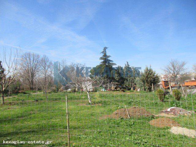 ΕΞΩΤΕΡΙΚΗ ΛΗΨΗ