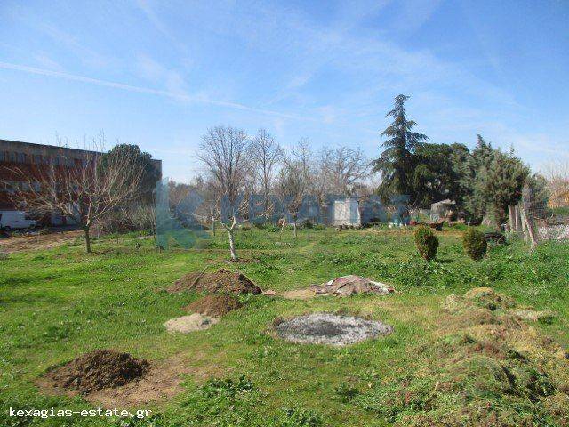 ΕΞΩΤΕΡΙΚΗ ΛΗΨΗ