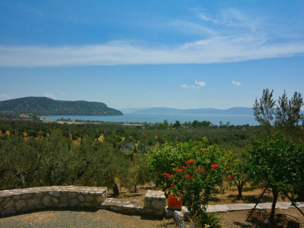 Θέα από μπαλκόνι