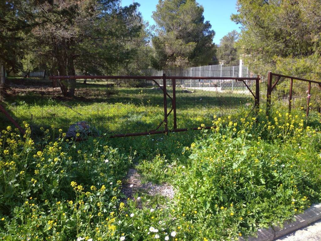 Χώρος Πεζοδρομίου Πρόσοψης
