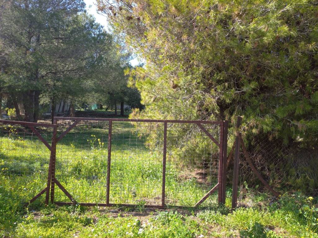 Είσοδος Οικοπέδου