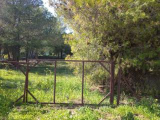 Είσοδος Οικοπέδου