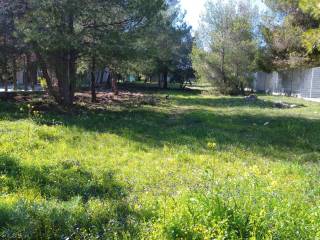 Επιφάνεια Οικοπέδου