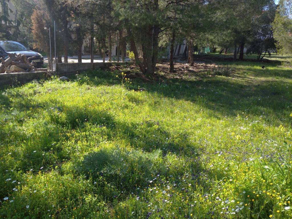 Αριστερή Πλευρά Οικοπέδου