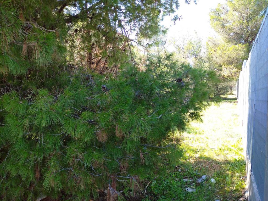 Γειτονικός Τοίχος Περίφραξης δεξιά