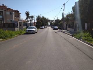 Downroad view from outside the plot