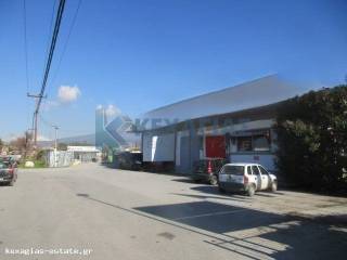 ΕΞΩΤΕΡΙΚΗ ΟΨΗ