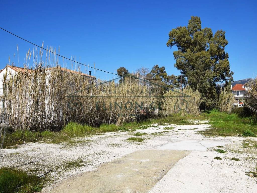 Το μοναδικό επενδυτικό οικόπεδο