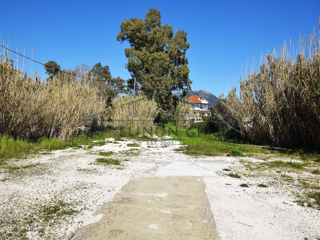 Το μοναδικό επενδυτικό οικόπεδο