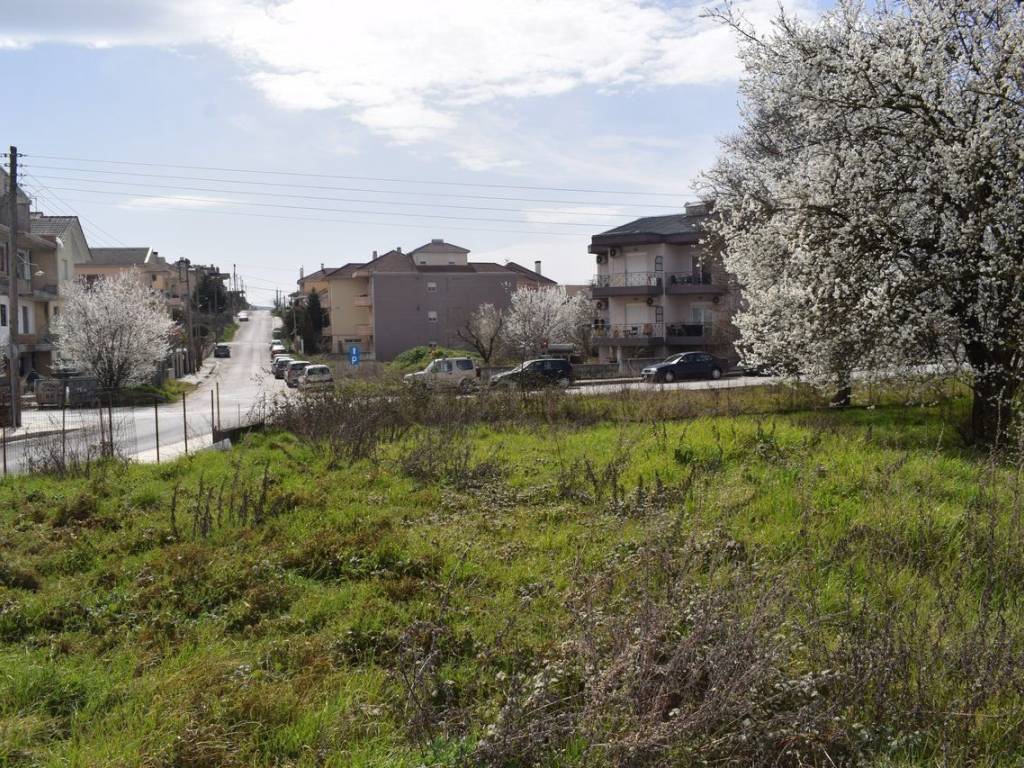 ΑΠΟΨΗ ΟΙΚΟΠΕΔΟΥ