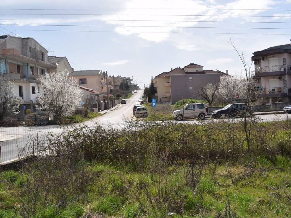 ΑΠΟΨΗ ΟΙΚΟΠΕΔΟΥ