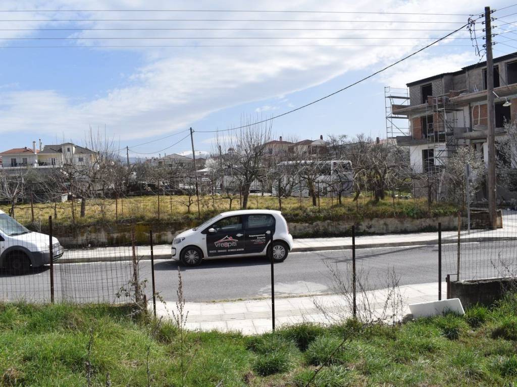 ΑΠΟΨΗ ΟΙΚΟΠΕΔΟΥ