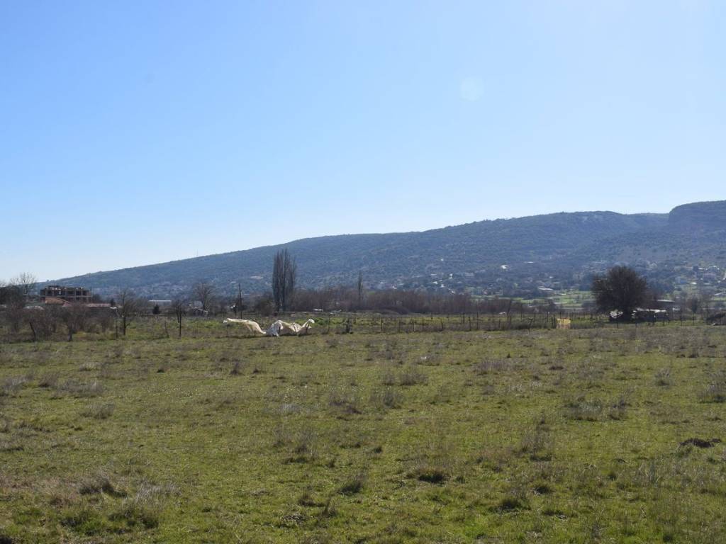 ΑΠΟΨΗ ΟΙΚΟΠΕΔΟΥ