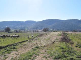 ΑΠΟΨΗ ΟΙΚΟΠΕΔΟΥ