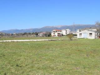 ΑΠΟΨΗ ΟΙΚΟΠΕΔΟΥ