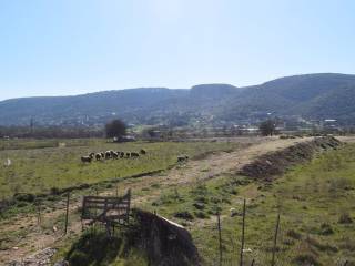 ΑΠΟΨΗ ΟΙΚΟΠΕΔΟΥ