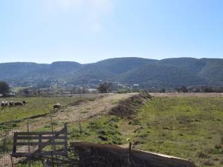 ΑΠΟΨΗ ΟΙΚΟΠΕΔΟΥ