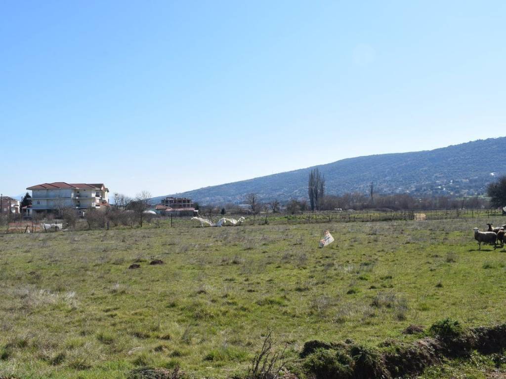 ΑΠΟΨΗ ΟΙΚΟΠΕΔΟΥ