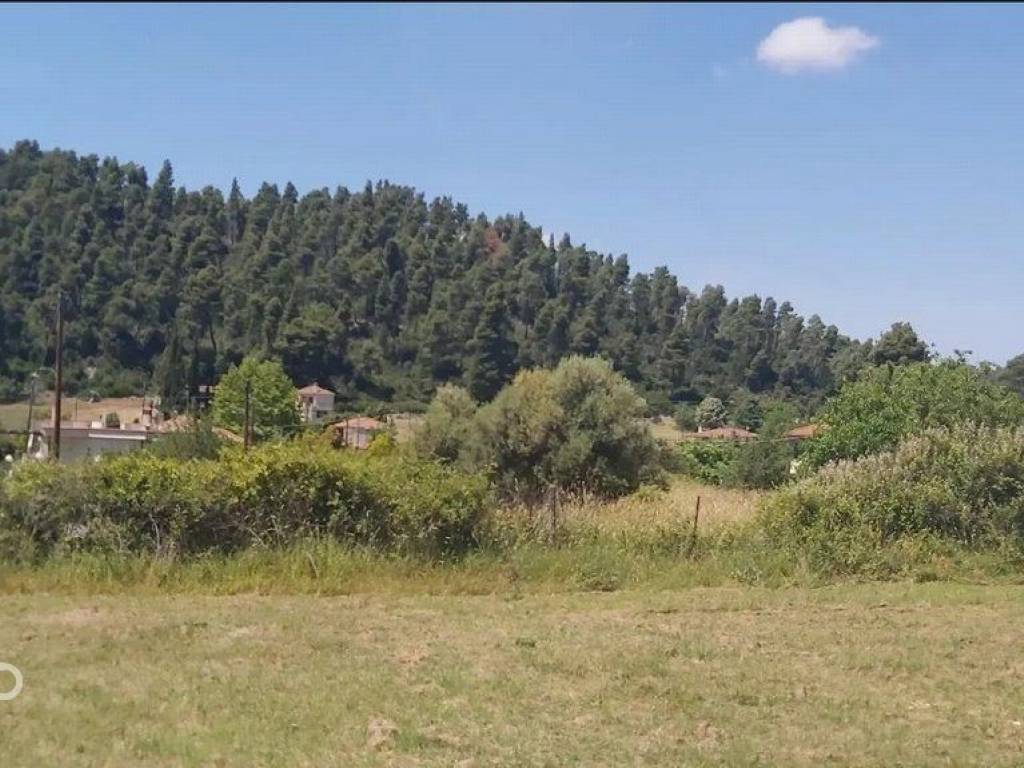 Forumland Real Estate, Οικόπεδο 638τ.μ.