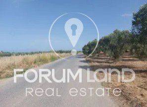 Forumland Real Estate, Οικόπεδο 638τ.μ.