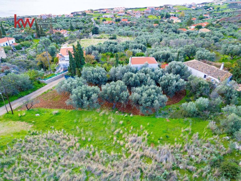 Εξωτερικοι χώροι