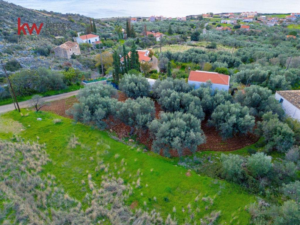 Εξωτερικοι χώροι