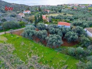 Εξωτερικοι χώροι