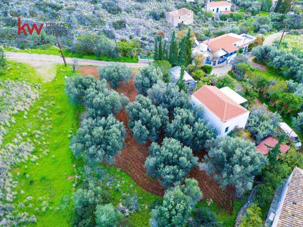 Εξωτερικοι χώροι