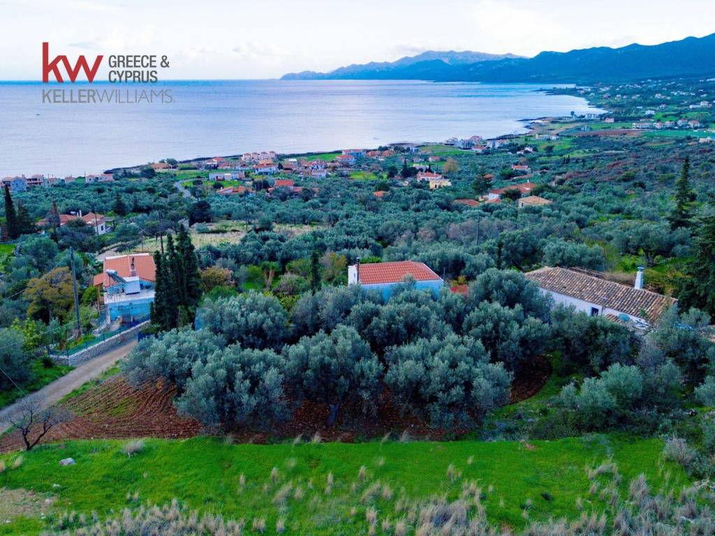 Εξωτερικοι χώροι