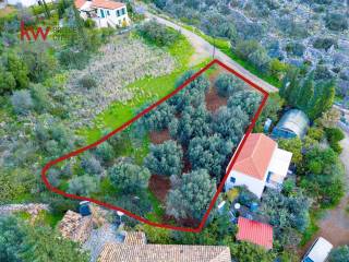 Εξωτερικοι χώροι