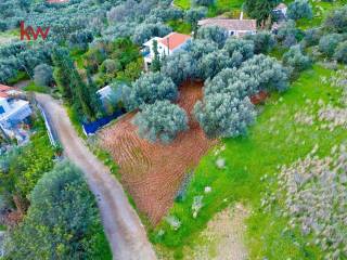 Εξωτερικοι χώροι