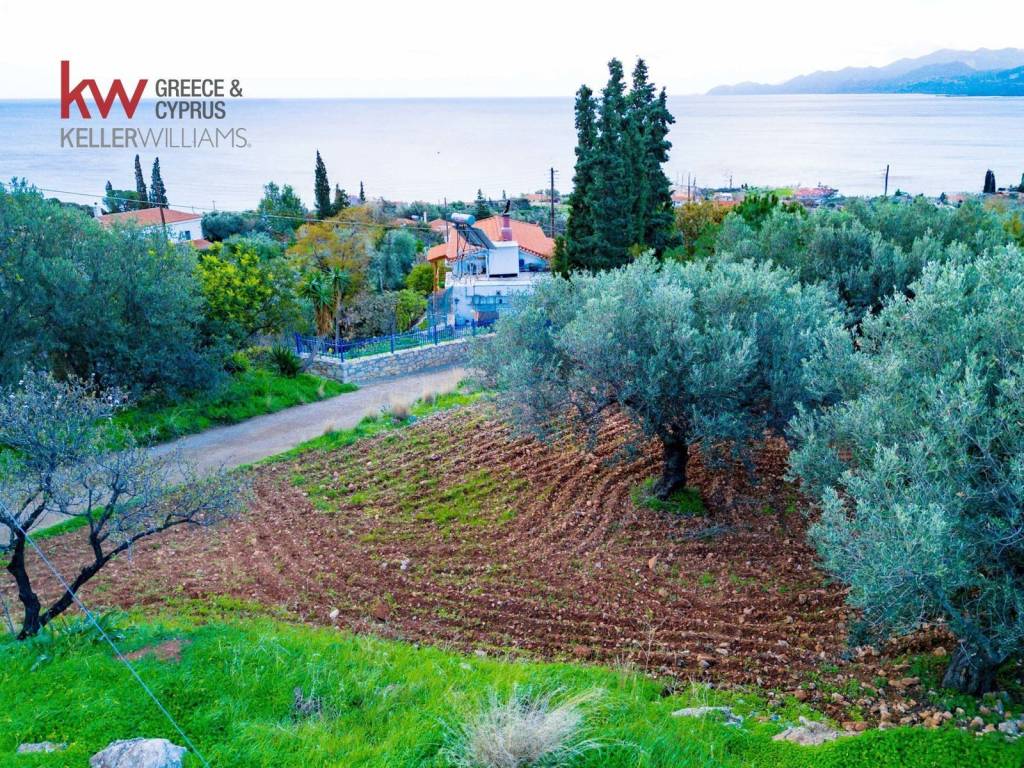 Εξωτερικοι χώροι