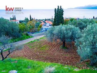 Εξωτερικοι χώροι