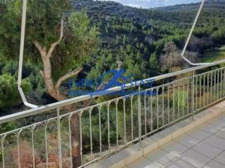 Εξωτερικοι χώροι