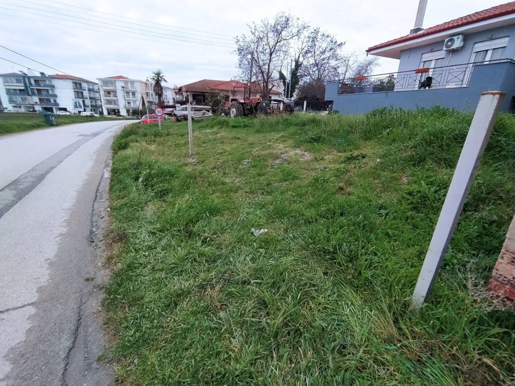 ANYPLACE MESITIKES YPERESIES