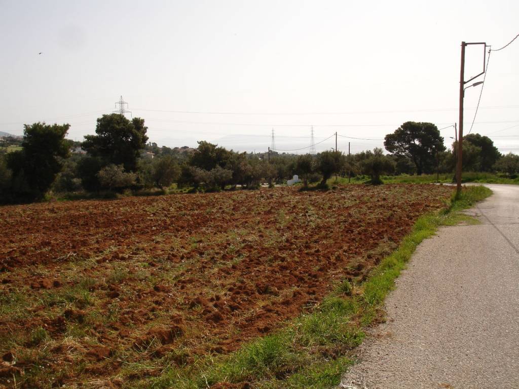ΑΓΡΟΤΕΜΑΧΙΟ ΜΕ ΘΕΑ