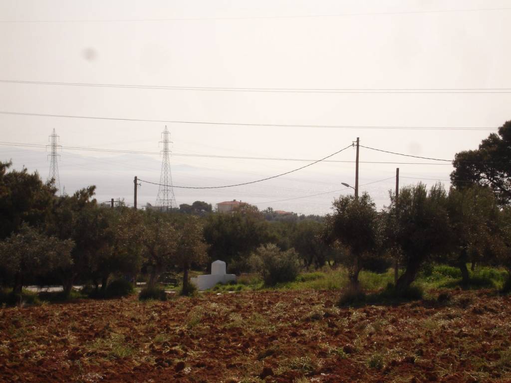 ΑΓΡΟΤΕΜΑΧΙΟ ΜΕ ΘΕΑ