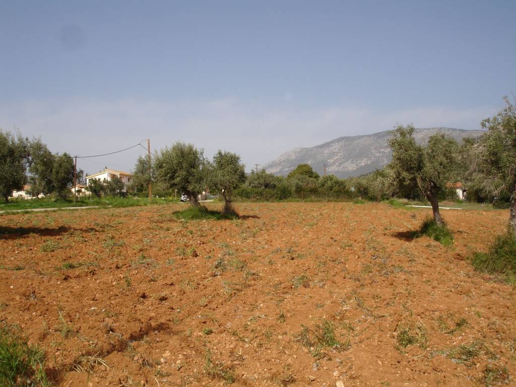 ΑΓΡΟΤΕΜΑΧΙΟ ΜΕ ΘΕΑ