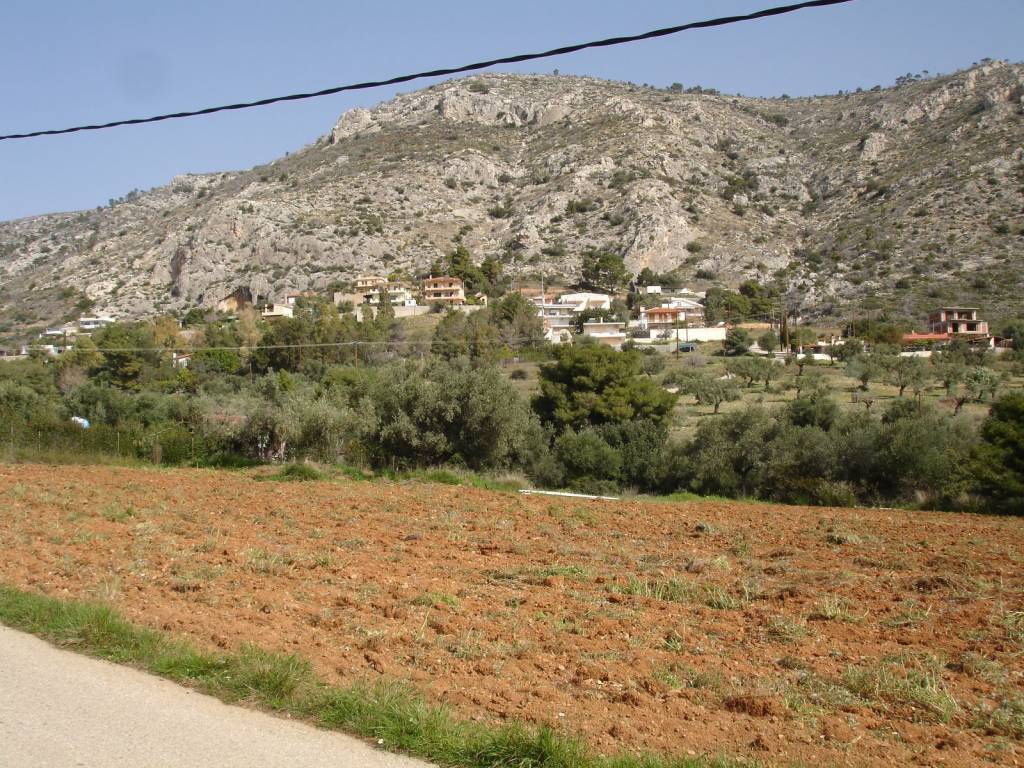 ΑΓΡΟΤΕΜΑΧΙΟ ΜΕ ΘΕΑ