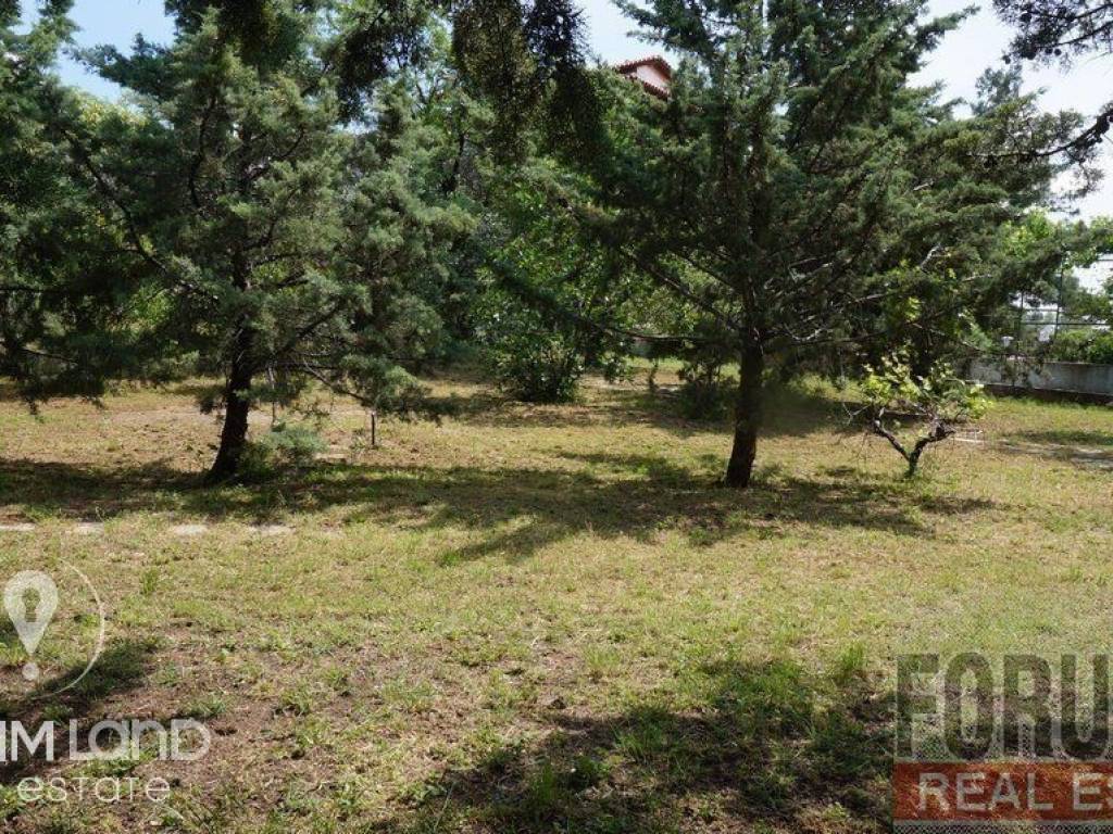 Forumland Real Estate, Aγροτεμάχιο 29.576τμ