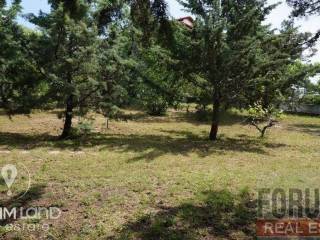 Forumland Real Estate, Aγροτεμάχιο 29.576τμ
